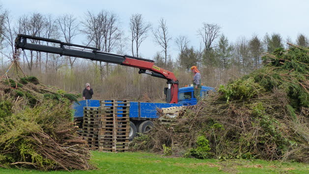 Osterfeuer 2017- (01)